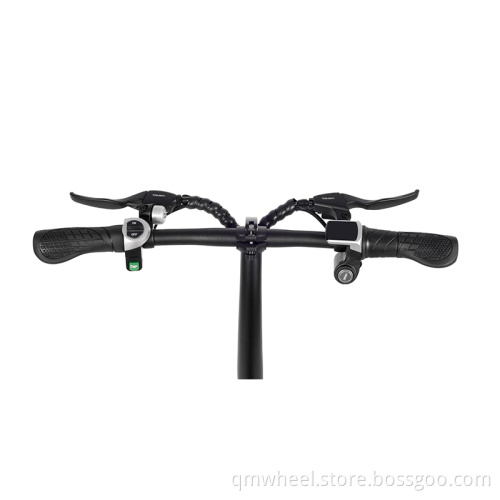 12inch Fat Tire Adults Electric Bikes